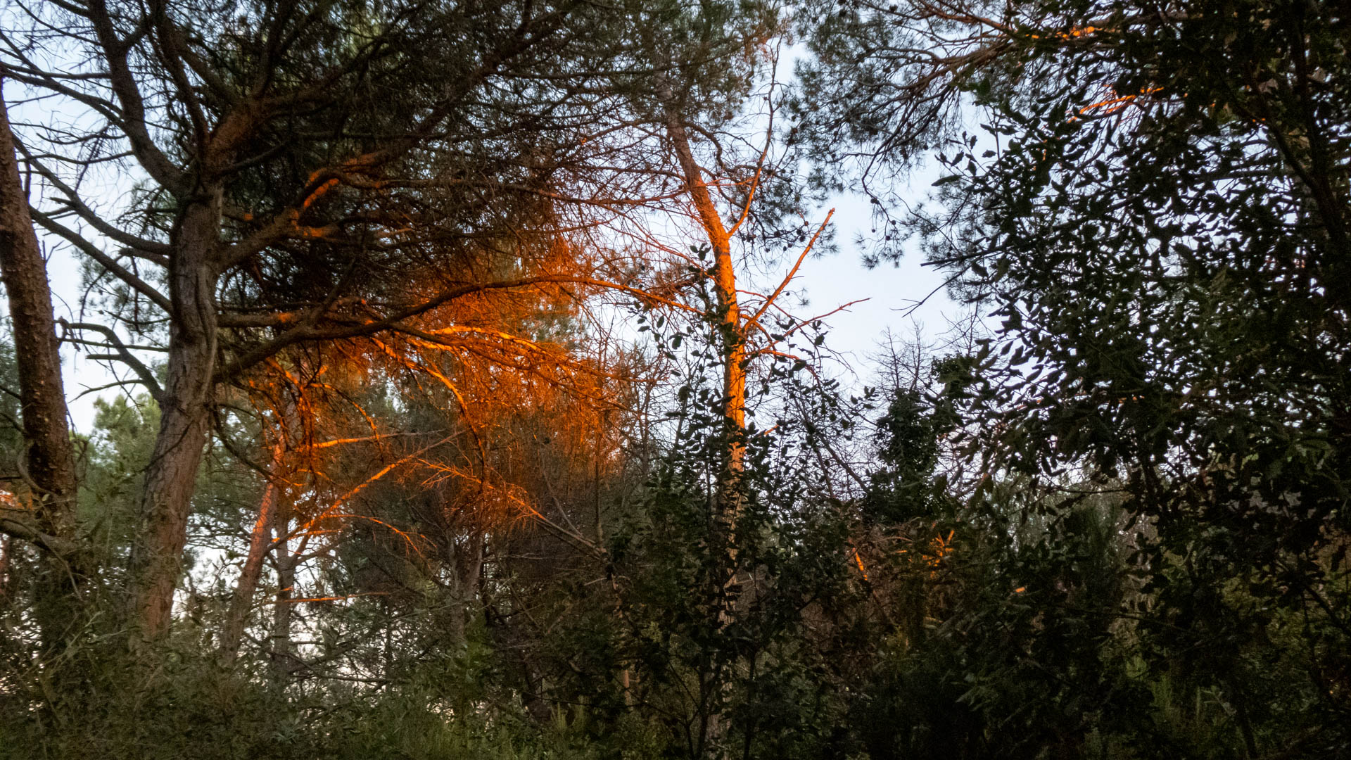 El toque dorado en el último momento
