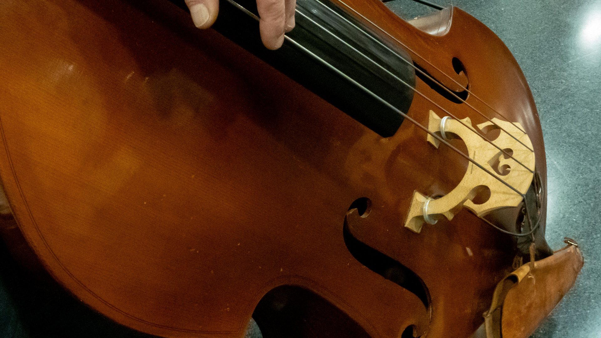 La Voz Profunda: Detalle del Contrabajo de Josemi Moraleda