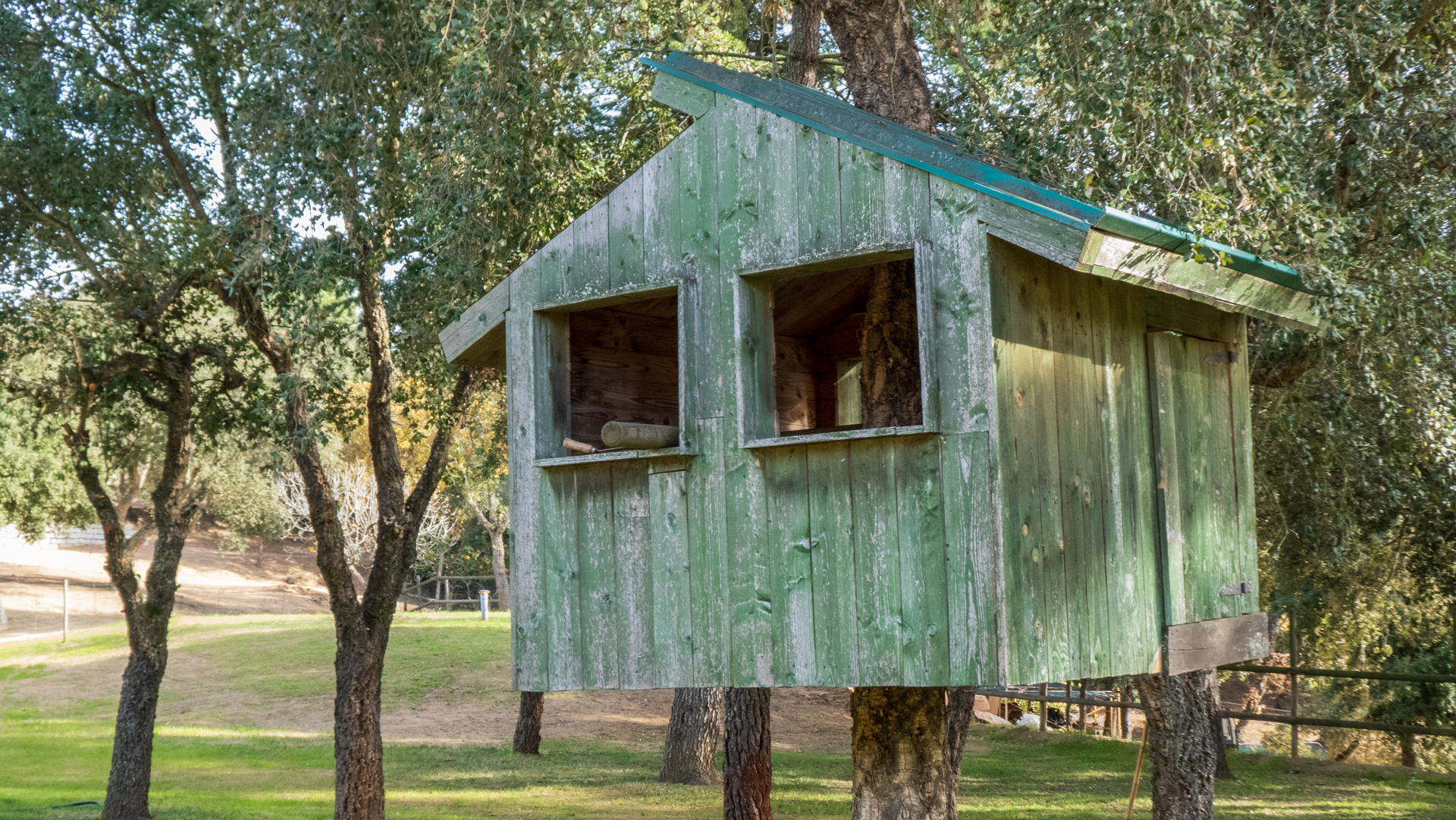 La casita del árbol