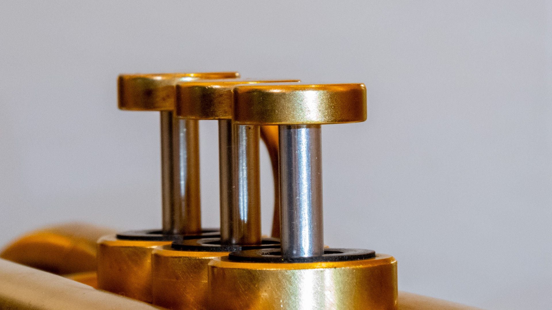 Detalle Pistones Trompeta Monette