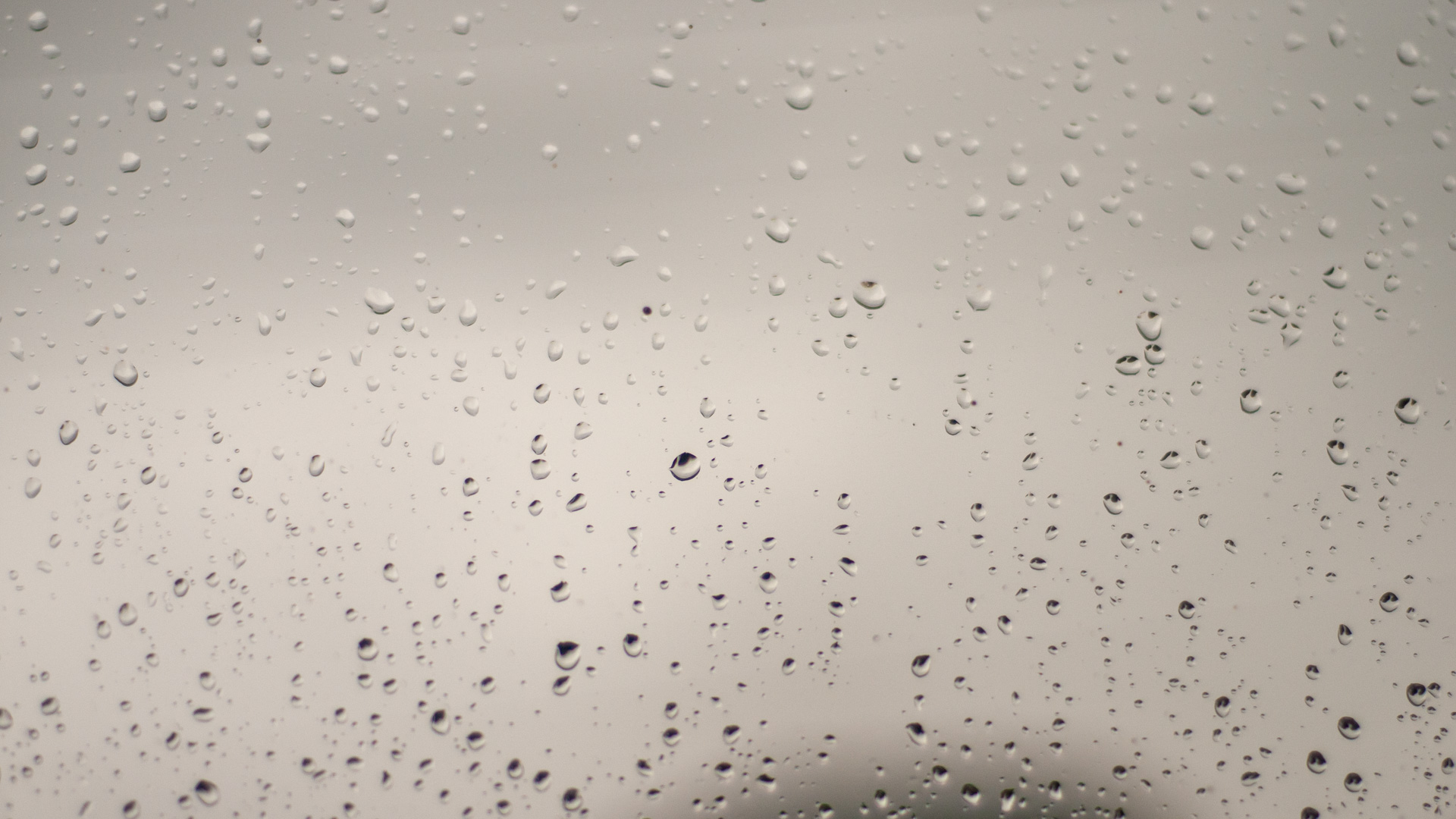 El Lenguaje de la Lluvia: Ventanas al Invierno