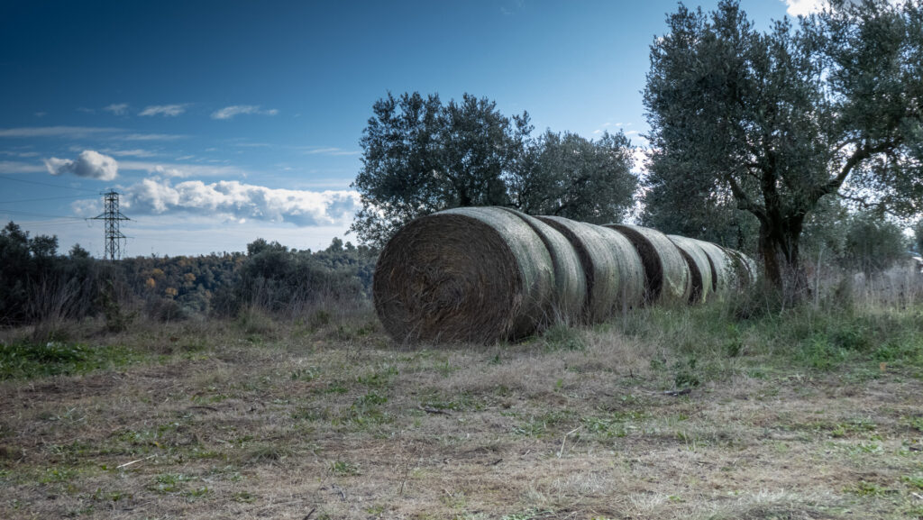 Balas de paja en Samalús