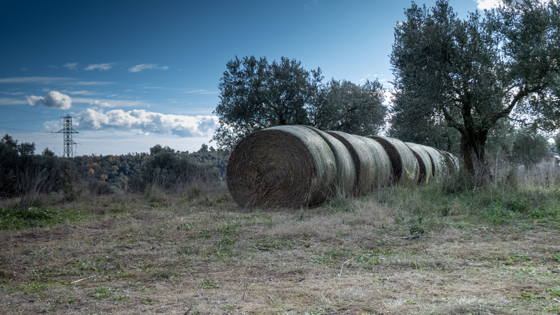 Balas de paja en Samalús