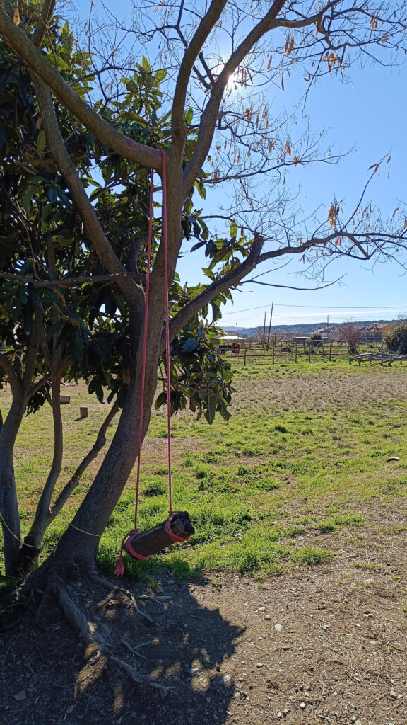 Columpio árbol Can Curt Columpio árbol Can Curt