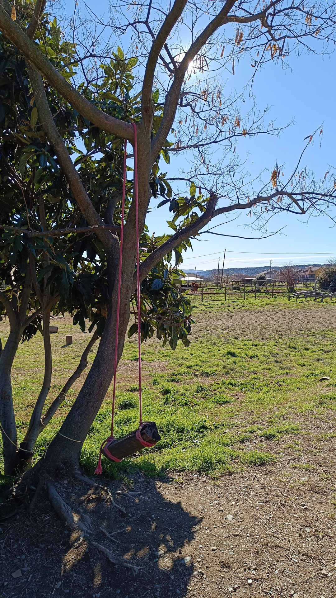 El Columpio del Tiempo: Juegos de Ayer y de Hoy