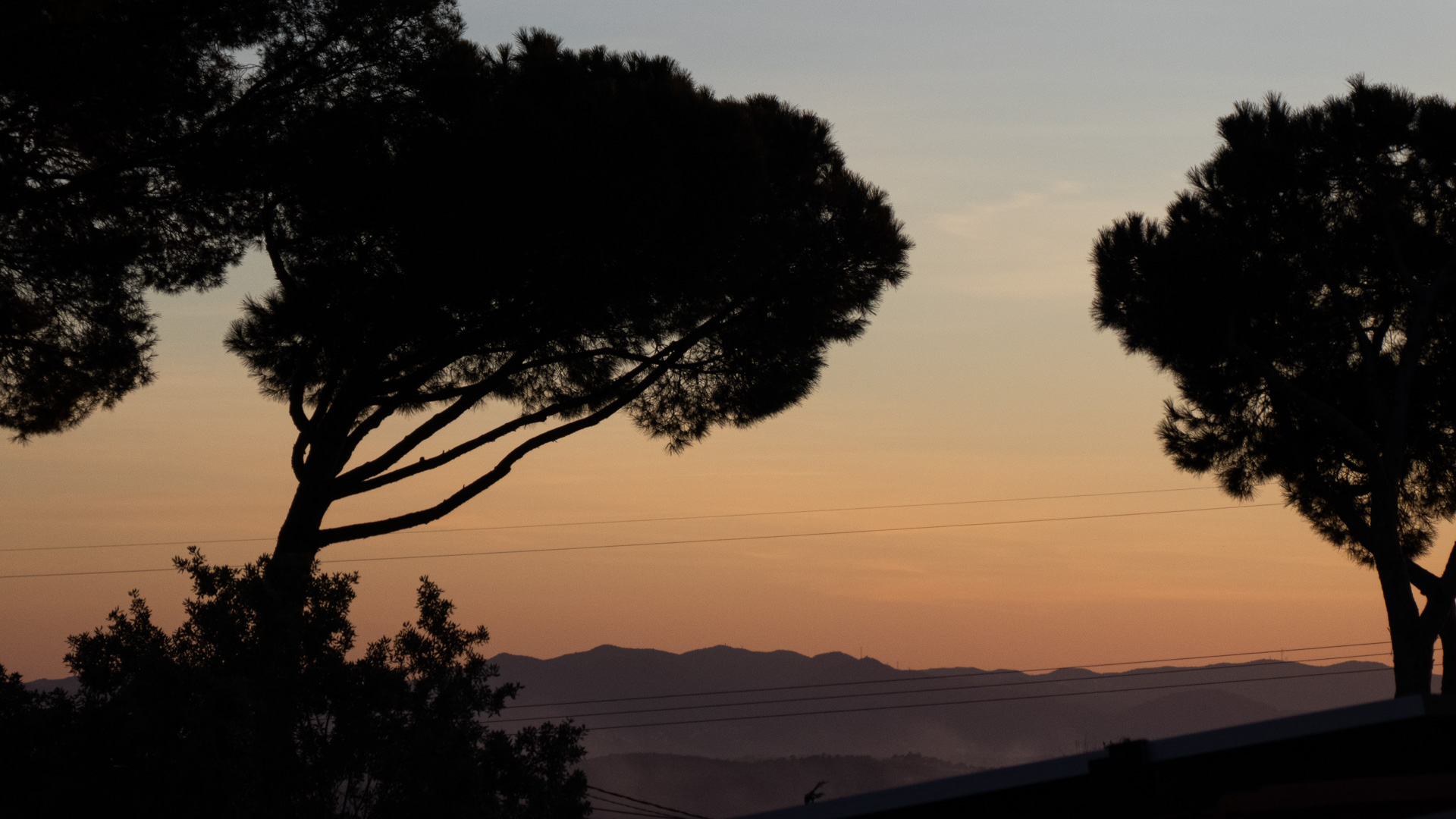 Perfiles al Ocaso: La Calma tras el Día
