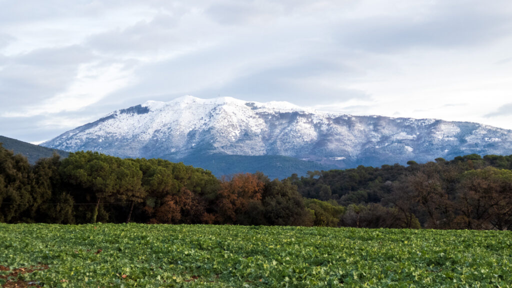 Montseny Nevado Enero 2026