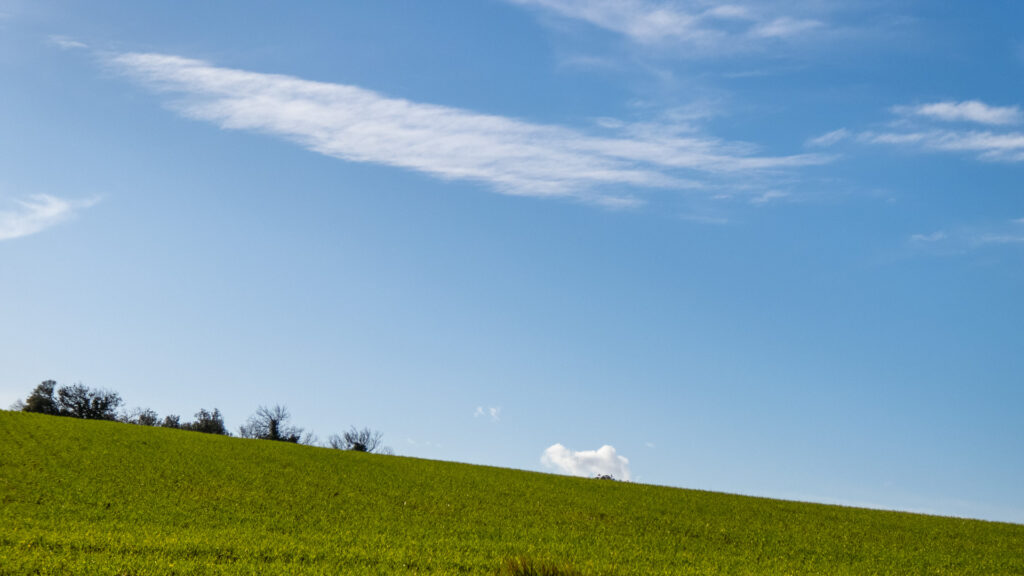 Windows XP style Windows XP style