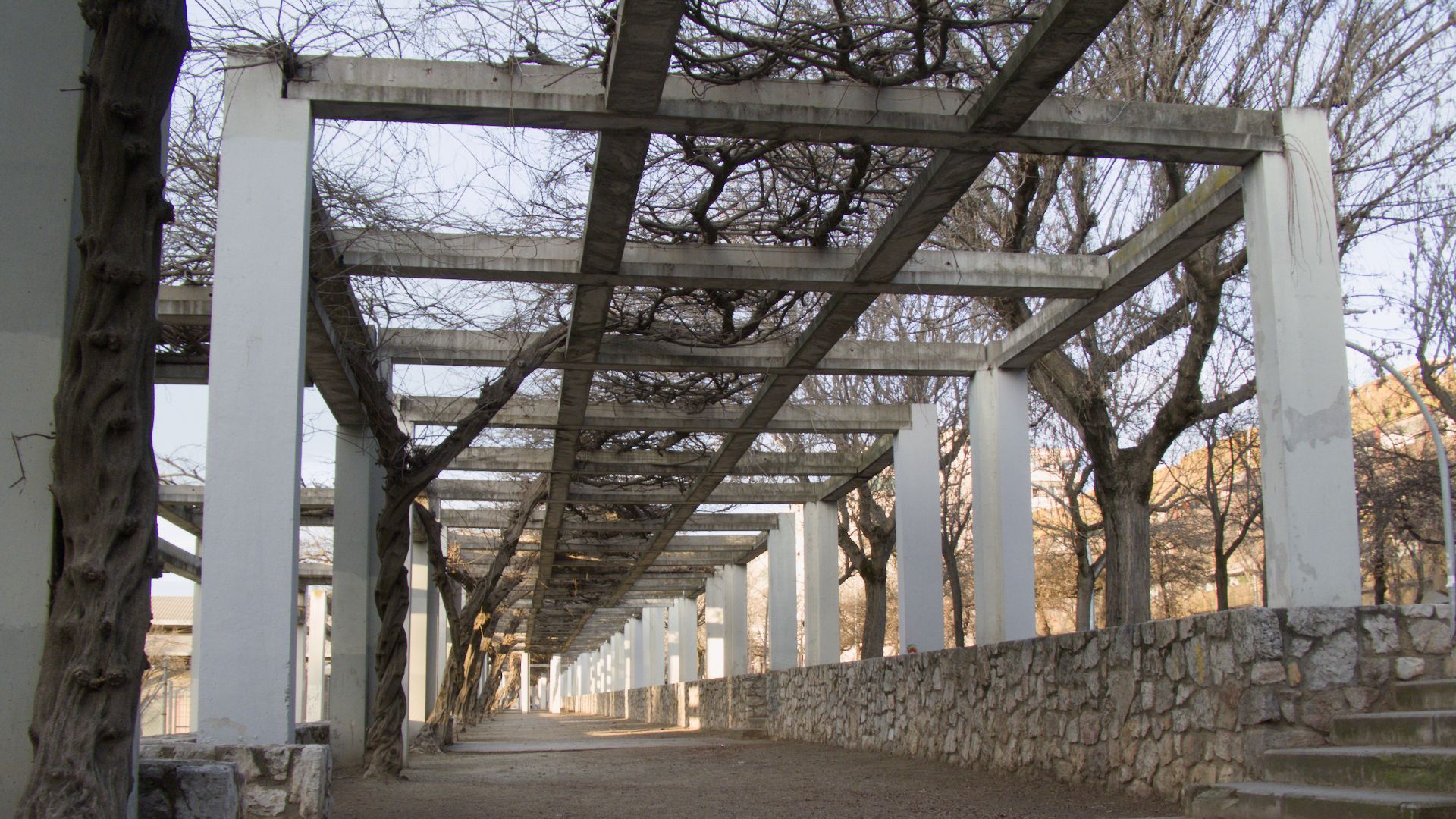 Geometría Natural: La Pérgola de Rafael Casanova