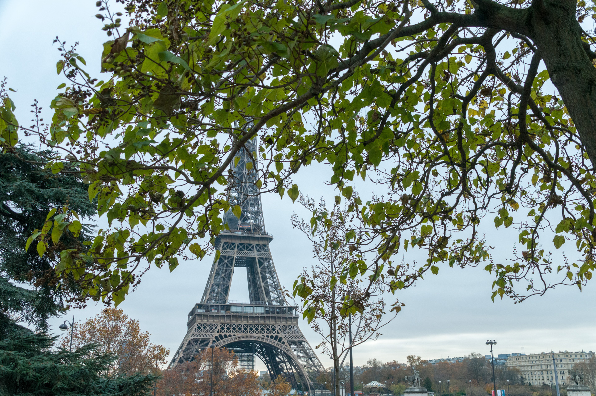 Entre Ramas y Hierro: Día de la Torre Eiffel