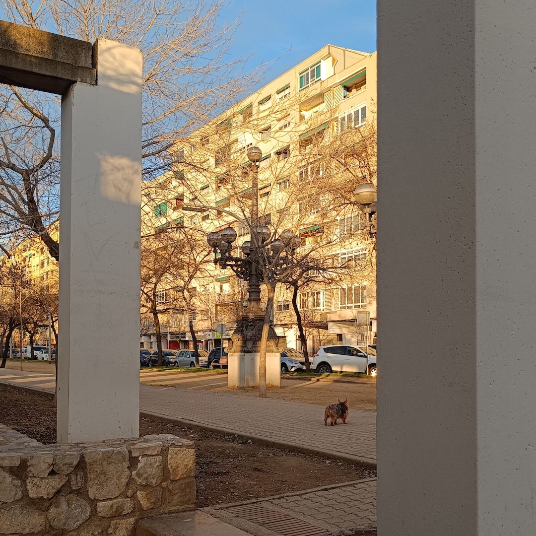 Luces de Tarde en Rafael Casanova