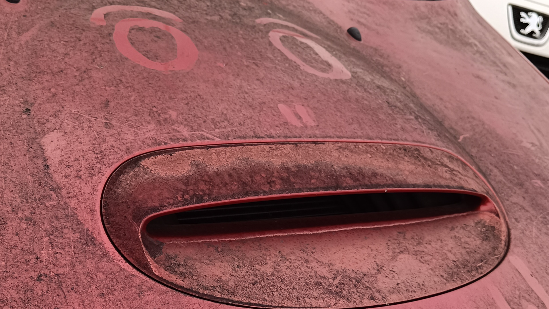 Arte Efímero: El «Monstruo» del Capó