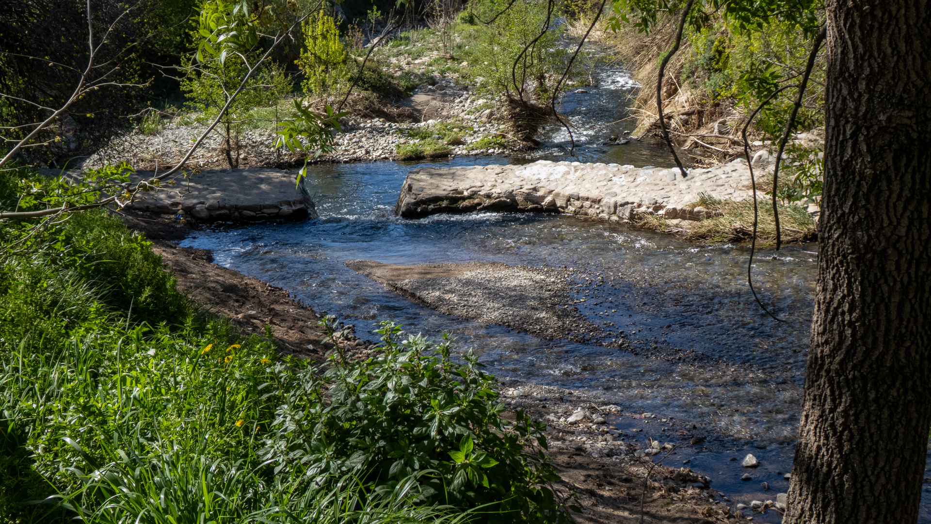El Murmullo del Congost: Primavera en el Río