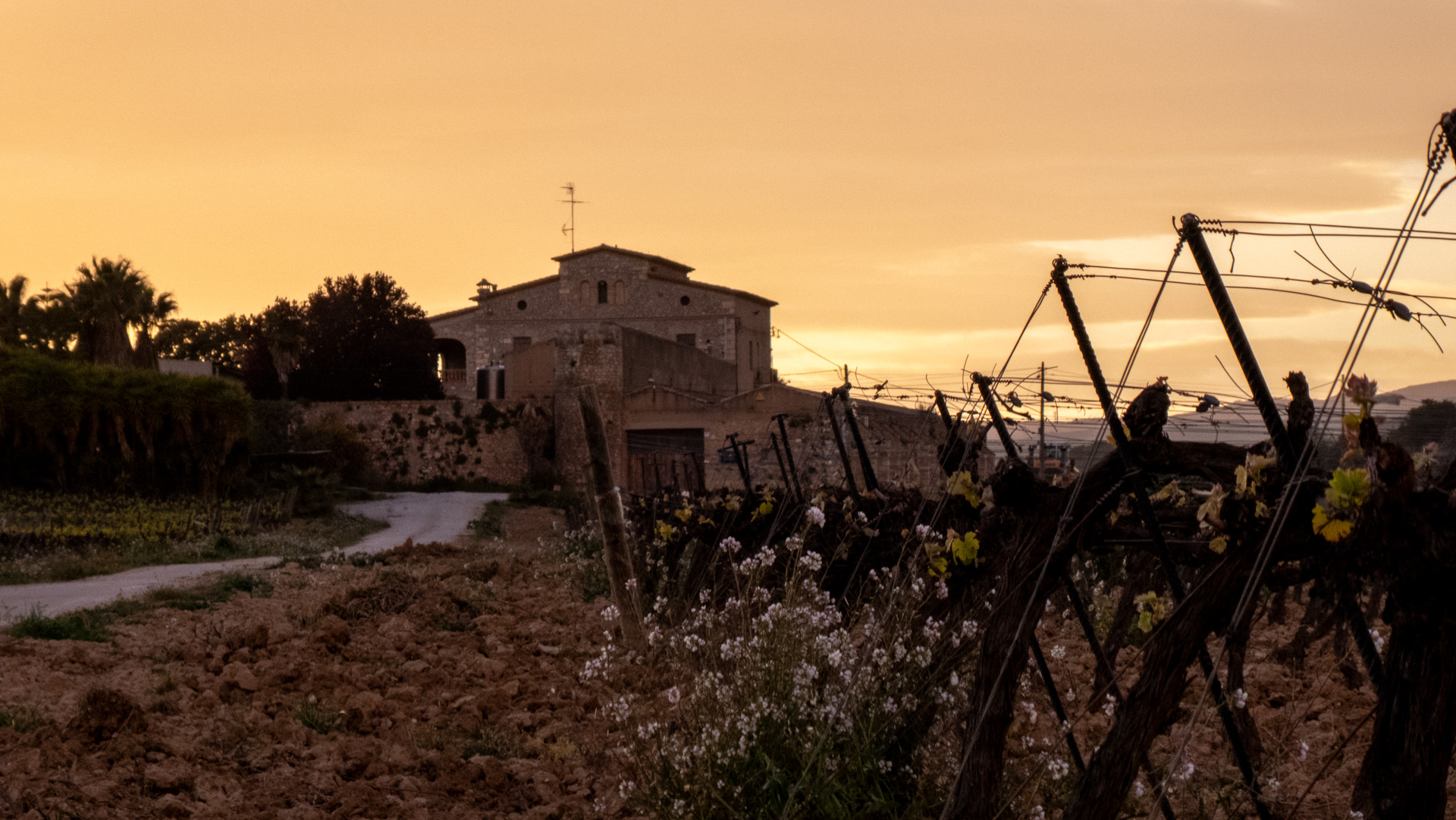 El Alma del Terruño: Atardecer en la Masía