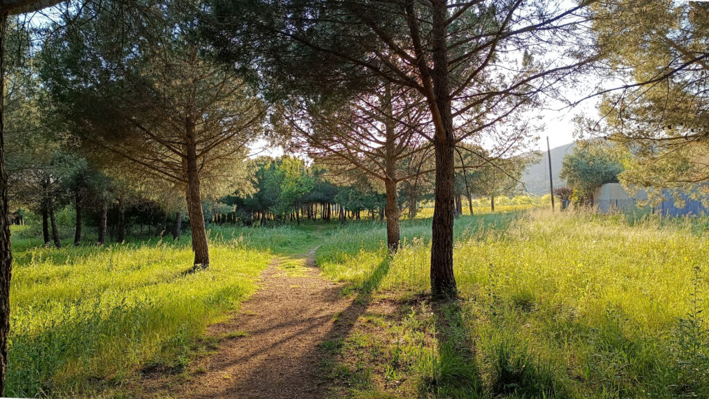 Sendero dorado